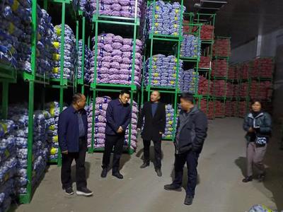 祥符區(qū)仇樓鎮(zhèn):&ldquo;小蒜頭&rdquo;帶動(dòng)富民&ldquo;大產(chǎn)業(yè)&rdquo;