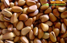 大量批發(fā)堅果炒貨特級東北野生松子、開口松子原味松子(大顆粒)_松子_干果炒貨_產(chǎn)品庫_口口可休閑食品網(wǎng)_中國休閑食品貿(mào)易網(wǎng)站_中國休閑食品供應(yīng)商首選電子商務(wù)網(wǎng)站